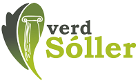 logo verdsoller.com